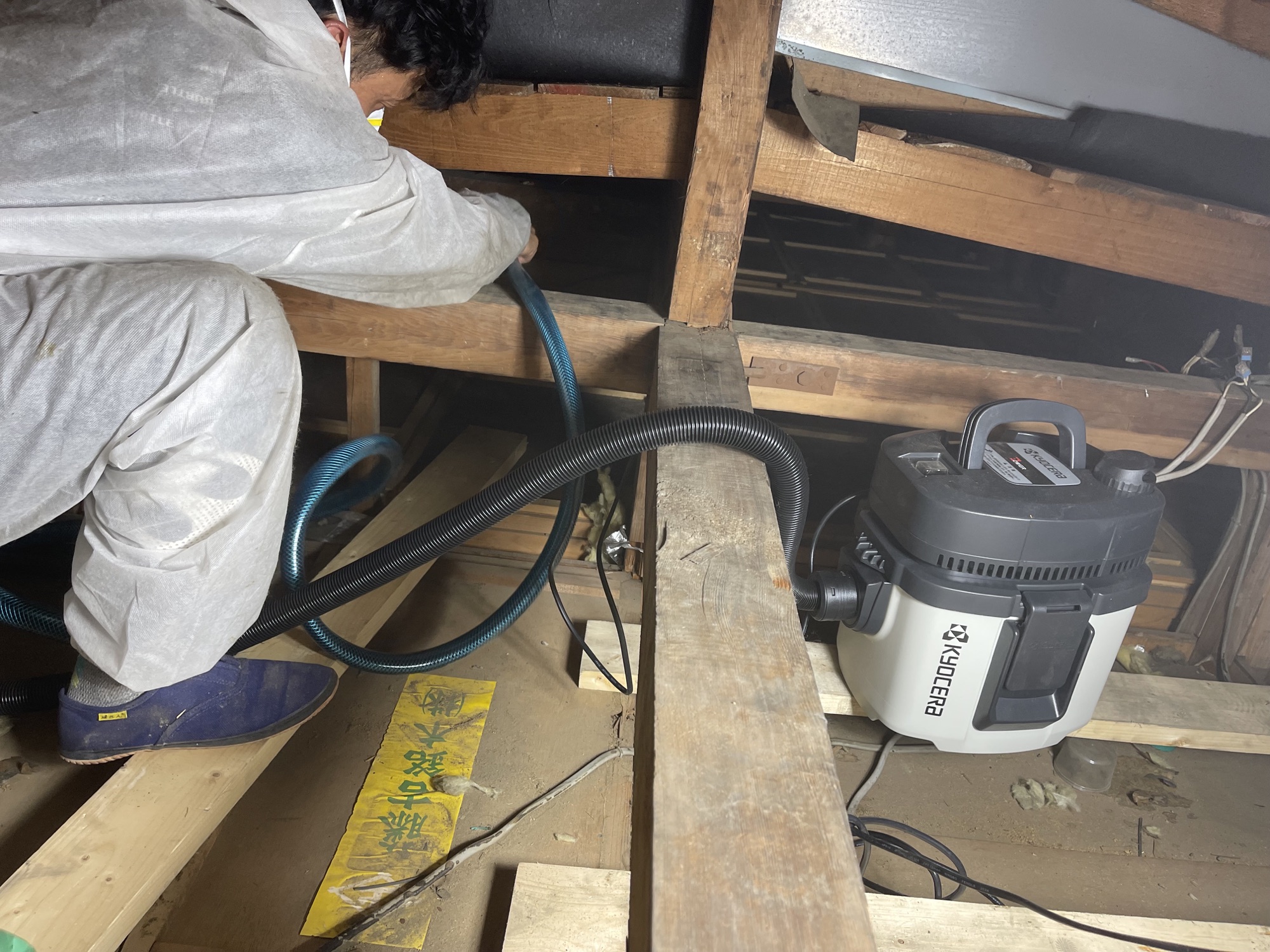 害獣侵入口封鎖と清掃